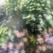 ヒメ日記 2025/07/26 13:58 投稿 水城 有為子 名古屋貴楼館