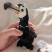 ヒメ日記 2025/07/29 06:28 投稿 水城 有為子 名古屋貴楼館