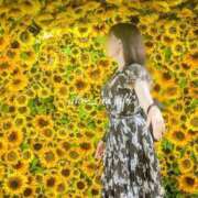 ヒメ日記 2025/08/01 06:48 投稿 水城 有為子 名古屋貴楼館