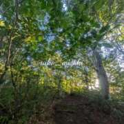 ヒメ日記 2025/08/28 08:18 投稿 水城 有為子 名古屋貴楼館