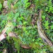 ヒメ日記 2025/09/17 07:08 投稿 水城 有為子 名古屋貴楼館