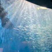 ヒメ日記 2025/09/26 21:28 投稿 水城 有為子 名古屋貴楼館