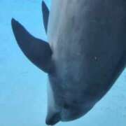 ヒメ日記 2025/09/27 09:38 投稿 水城 有為子 名古屋貴楼館