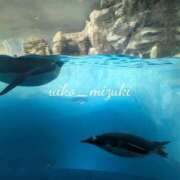 ヒメ日記 2025/10/08 09:18 投稿 水城 有為子 名古屋貴楼館