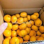 水城 有為子 12月の予定 名古屋貴楼館