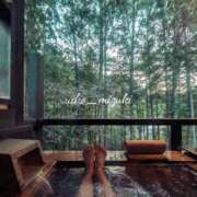 ヒメ日記 2026/03/21 07:38 投稿 水城 有為子 名古屋貴楼館