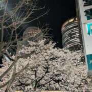 ヒメ日記 2026/04/01 21:58 投稿 水城 有為子 名古屋貴楼館