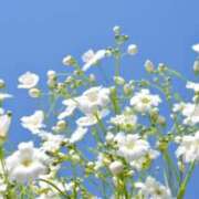 ヒメ日記 2025/02/04 22:38 投稿 蓮見れいか こあくまな熟女たち豊橋店（KOAKUMAグループ）