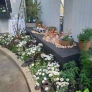 ヒメ日記 2026/01/07 21:04 投稿 蓮見れいか こあくまな熟女たち豊橋店（KOAKUMAグループ）