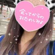 ヒメ日記 2025/11/29 17:20 投稿 まり ドッチパイモミ 越谷店