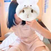 ヒメ日記 2025/05/17 16:53 投稿 れもん 横浜しこたまクリニック