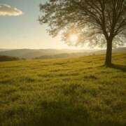 ヒメ日記 2025/09/28 11:14 投稿 あみ メンエス案内所