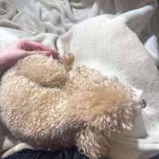 ヒメ日記 2025/07/03 19:13 投稿 みく 花火-hanabi-(すすきの)