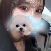 ヒメ日記 2025/12/10 06:42 投稿 ゆりか【黒髪えちえち極美女】 STELLA TOKYO-ステラトウキョウ-