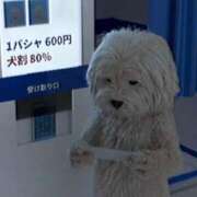 ヒメ日記 2025/12/17 15:03 投稿 ゆりか【黒髪えちえち極美女】 STELLA TOKYO－ステラトウキョウ－