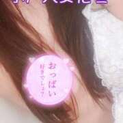 ヒメ日記 2025/04/20 07:37 投稿 さほ 水戸人妻花壇