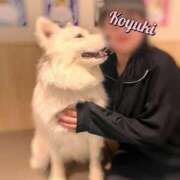 こゆき 癒される瞬間✨ ハピネス札幌