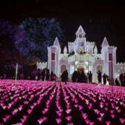 ヒメ日記 2025/01/20 22:20 投稿 りょう 奥鉄オクテツ東京店（デリヘル市場）