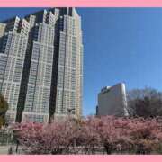 ヒメ日記 2025/03/11 20:15 投稿 りょう 奥鉄オクテツ東京店（デリヘル市場）