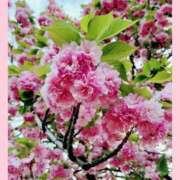 ヒメ日記 2025/03/13 15:30 投稿 りょう 奥鉄オクテツ東京店（デリヘル市場）