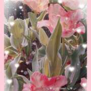 ヒメ日記 2025/03/17 23:35 投稿 りょう 奥鉄オクテツ東京店（デリヘル市場）