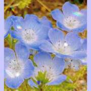 ヒメ日記 2025/03/18 10:20 投稿 りょう 奥鉄オクテツ東京店（デリヘル市場）