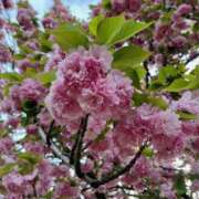 ヒメ日記 2025/03/22 23:45 投稿 りょう 奥鉄オクテツ東京店（デリヘル市場）