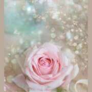 ヒメ日記 2025/03/24 09:15 投稿 りょう 奥鉄オクテツ東京店（デリヘル市場）