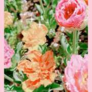 ヒメ日記 2025/03/31 12:20 投稿 りょう 奥鉄オクテツ東京店（デリヘル市場）