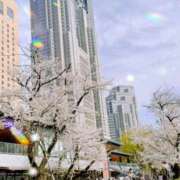 ヒメ日記 2025/04/06 22:40 投稿 りょう 奥鉄オクテツ東京店（デリヘル市場）