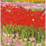 ヒメ日記 2025/04/08 22:00 投稿 りょう 奥鉄オクテツ東京店（デリヘル市場）