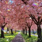 ヒメ日記 2025/04/11 19:50 投稿 りょう 奥鉄オクテツ東京店（デリヘル市場）