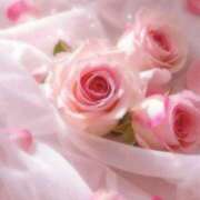 ヒメ日記 2025/04/13 00:50 投稿 りょう 奥鉄オクテツ東京店（デリヘル市場）