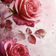 ヒメ日記 2025/04/30 22:25 投稿 りょう 奥鉄オクテツ東京店（デリヘル市場）