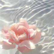 ヒメ日記 2025/05/02 20:45 投稿 りょう 奥鉄オクテツ東京店（デリヘル市場）