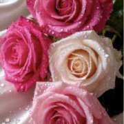 ヒメ日記 2025/06/04 07:55 投稿 りょう 奥鉄オクテツ東京店（デリヘル市場）