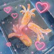 ヒメ日記 2025/07/04 09:00 投稿 りょう 奥鉄オクテツ東京店（デリヘル市場）