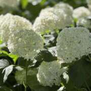 ヒメ日記 2025/07/20 10:00 投稿 りょう 奥鉄オクテツ東京店（デリヘル市場）