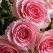 ヒメ日記 2025/09/01 12:20 投稿 りょう 奥鉄オクテツ東京店（デリヘル市場）