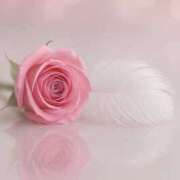 ヒメ日記 2025/10/13 00:05 投稿 りょう 奥鉄オクテツ東京店（デリヘル市場）