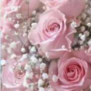 ヒメ日記 2025/11/13 14:45 投稿 りょう 奥鉄オクテツ東京店（デリヘル市場）