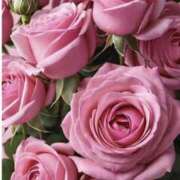 ヒメ日記 2025/11/24 11:25 投稿 りょう 奥鉄オクテツ東京店（デリヘル市場）