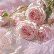 りょう ありがとうございます 奥鉄オクテツ東京店（デリヘル市場）