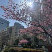 ヒメ日記 2026/03/24 07:55 投稿 りょう 奥鉄オクテツ東京店（デリヘル市場）