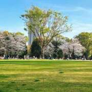 ヒメ日記 2026/06/23 11:50 投稿 りょう 奥鉄オクテツ東京店（デリヘル市場）