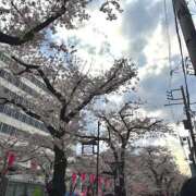 ヒメ日記 2025/04/01 23:45 投稿 ののか 素人オナクラ美少女