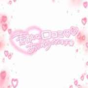 ヒメ日記 2025/01/17 20:54 投稿 ノノカ 千葉美女革命