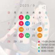 ヒメ日記 2025/09/03 18:02 投稿 ノノカ 千葉美女革命