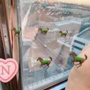 ヒメ日記 2025/01/13 18:20 投稿 のどか 錦糸町人妻花壇