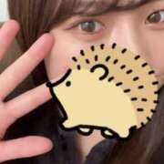 ヒメ日記 2025/02/09 19:45 投稿 るい S級しろうと娘